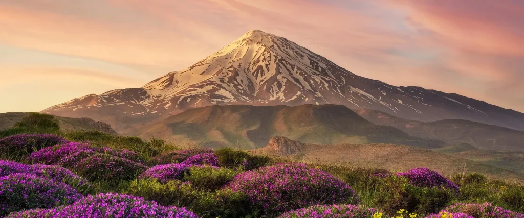 طراحی سایت در مازندران